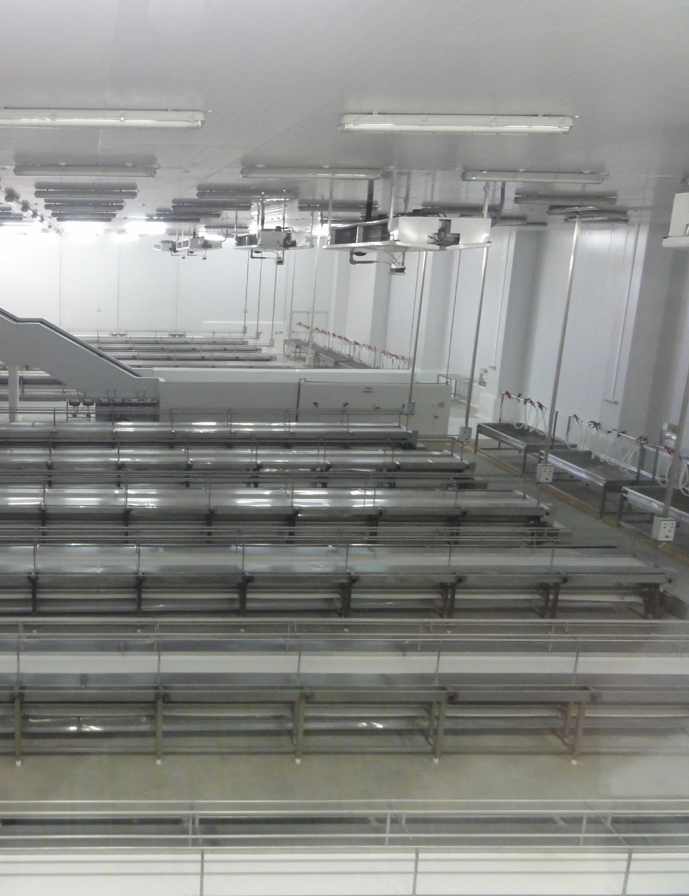 ACEITE B100 - BITZER - imagen 4