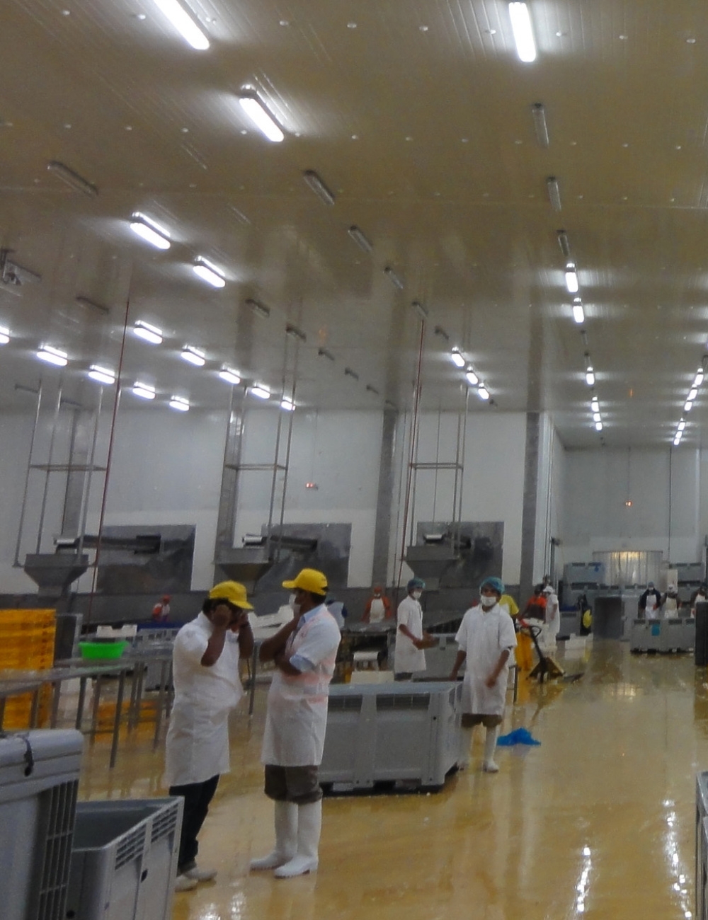 ACEITE B100 - BITZER - imagen 5
